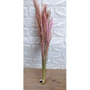 CAPIM DY749 PLUMA COLOR A73CM