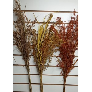 FL CAPIM CP-159 PRIMAVERA COLORIDO DESIDRATADO (DIVERSAS CORES) (APROXIMADAMENTE 130CM)