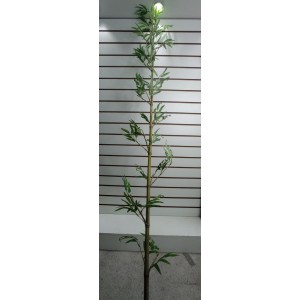 FL HASTE BM-789 DE BAMBU (APROXIMADAMENTE 1,80CM) MILTON NAKANO