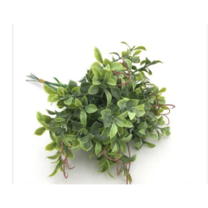 PICK DE MINI FICUS C/GALHINHOS MARROM  22ALT LY0091F