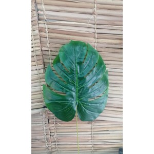 FL FOLHA 60830 COSTELA DE ADAO M UNITARIA A57CM FOLHA A33XL28CM