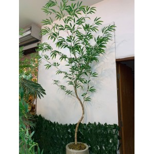 FL BAMBU MOSSO G A310CM 2660601