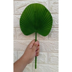 FL FOLHA DE LATANIA LEQUE SY01477/COD2187 PEQUENA A36CM