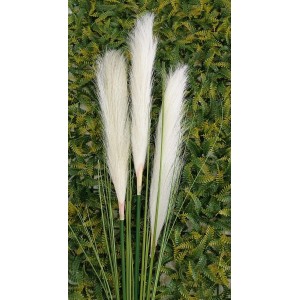 FL HASTE DI0376 CAPIM RABO DE RAPOSA A150CM