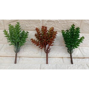 FL SUCULENTA AP-0045 A20CM