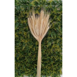 FL TRIGO ALVEJADO A78CM