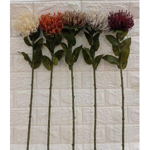 FL HASTE DE PROTEA COD2688  1 FLOR NO ALTO A73XL9CM