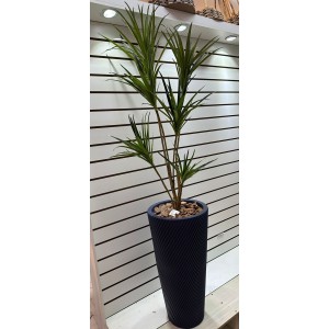 ARVORE LD0118 YUCCA C/2 HASTE COM 6 GALHOS A130CM