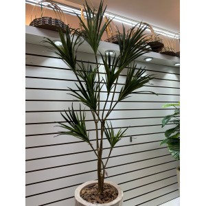 ARVORE LD0117 YUCCA C/9 GALHOS A180CM