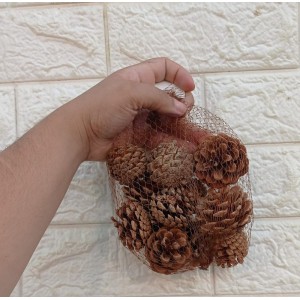 FL PACOTE BN315 DE PINHA C/12 PCS