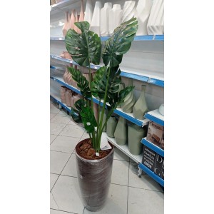 ARVORE COSTELA DE ADAO YD28093 A130CM