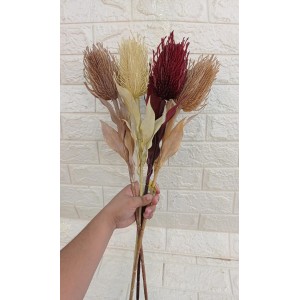 HASTE BG310037 DE PROTEIA A70CM