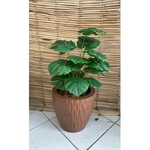 ARVORE 68503 COSTELA DE ADAO A58CM