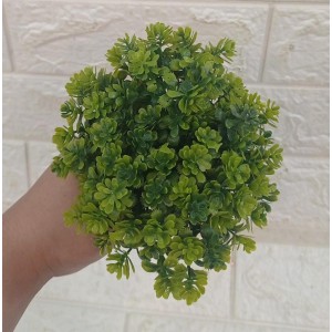 FL PICK 62519 SUCULENTA A20CM