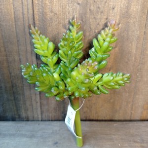 FL SUCULENTA 7 GALHO A15XL9CM 63211