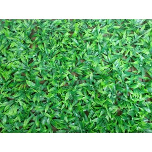 FL TAPETE GRAMA 60826 DE CAPIM SIMPLES A40XL60CM